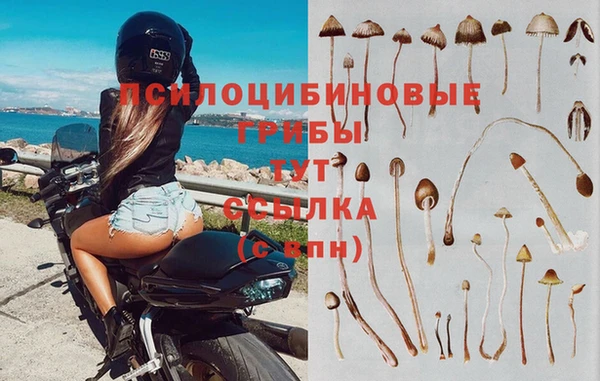 меф Новокубанск