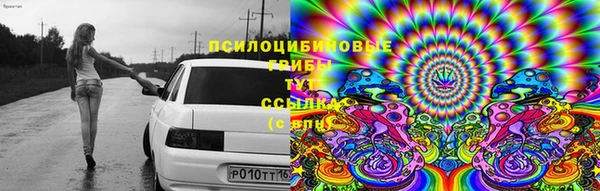 apvp Заречный