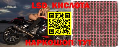 spice Малоярославец