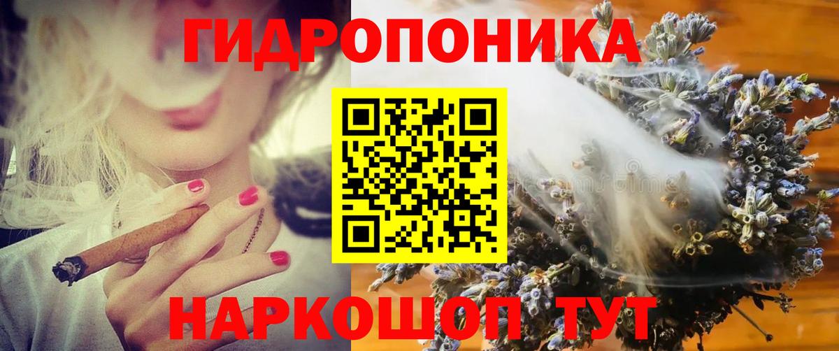 Бошки марихуана план  Каннабис OG Kush  Вход с VPN  Серов  Марихуана Bruce Banner  Бошки Шишки AK-47 